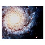 Colorful Cosmos 8  x 10  Desktop Photo Plaque