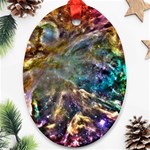 Colorful Cosmos Ornament (Oval)