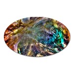 Colorful Cosmos Magnet (Oval)