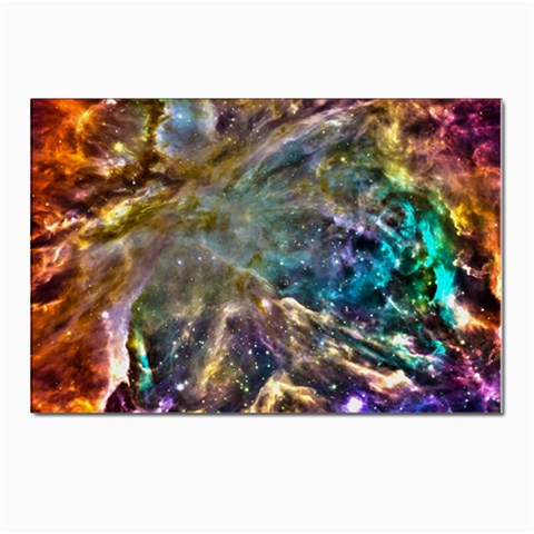 Colorful Cosmos Postcard 4 x 6  (Pkg of 10) from ArtsNow.com Front