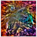 Colorful Cosmos Canvas 12  x 12 