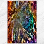 Colorful Cosmos Canvas 20  x 30 