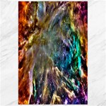 Colorful Cosmos Canvas 24  x 36 