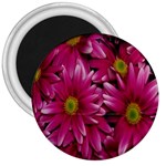 Pink Flowers 3  Magnet