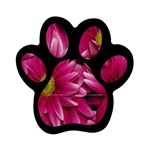 Pink Flowers Magnet (Paw Print)