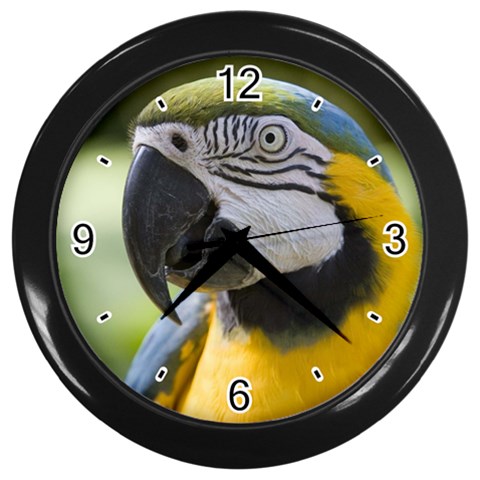 Handsome Parrot Wall Clock (Black) from ArtsNow.com Front