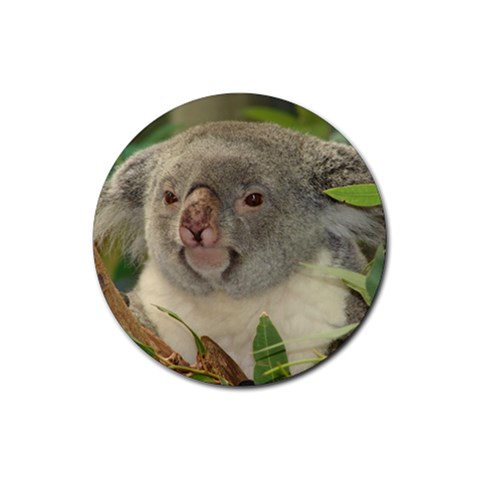 Koala Bear Rubber Round Coaster (4 pack) from ArtsNow.com Front