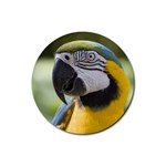 Handsome Parrot Rubber Round Coaster (4 pack)