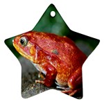 Red Frog Ornament (Star)