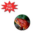 Red Frog 1  Mini Button (100 pack) 
