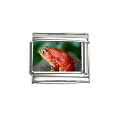 Red Frog Italian Charm (9mm) from ArtsNow.com Front