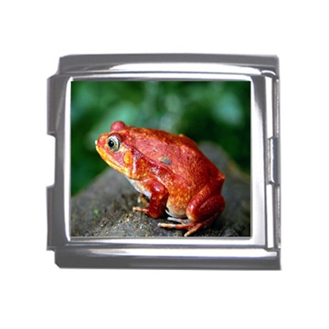 Red Frog Mega Link Italian Charm (18mm) from ArtsNow.com Front