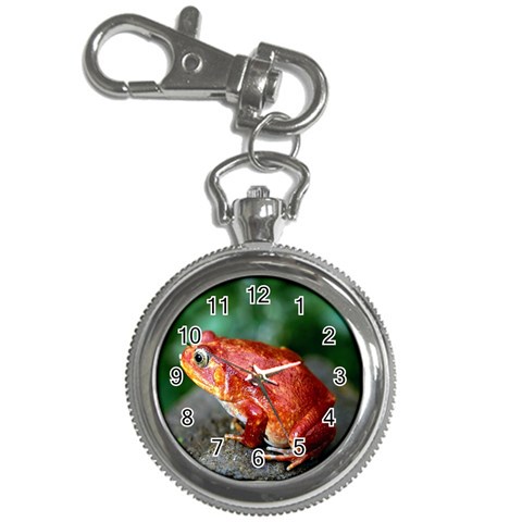 Red Frog Key Chain Watch from ArtsNow.com Front