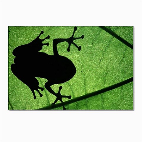 Frog Postcards 5  x 7  (Pkg of 10) from ArtsNow.com Front
