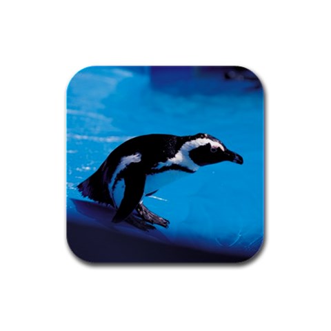 Penguin Bird D2 Rubber Square Coaster (4 pack) from ArtsNow.com Front