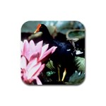 Moorhen Bird Rubber Square Coaster (4 pack)