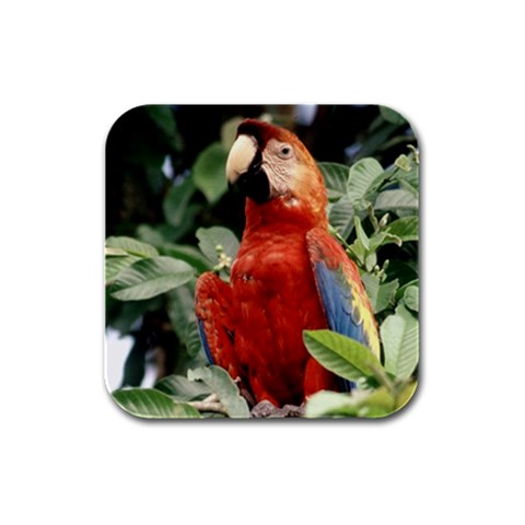 Macaw Bird D3 Rubber Square Coaster (4 pack) from ArtsNow.com Front