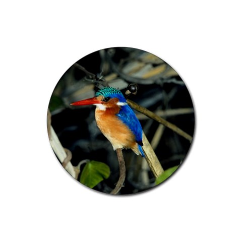 KingFisher Bird Rubber Round Coaster (4 pack) from ArtsNow.com Front