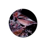 Chaffinch Bird Rubber Round Coaster (4 pack)