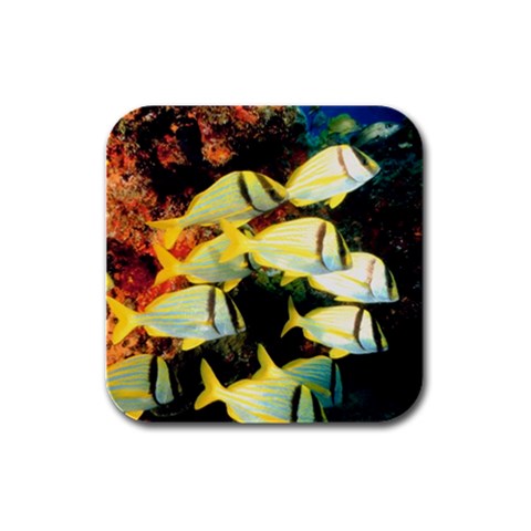 Pork Fish Rubber Square Coaster (4 pack) from ArtsNow.com Front