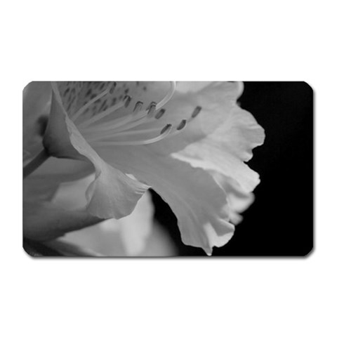 Classic beauty Magnet (Rectangular) from ArtsNow.com Front