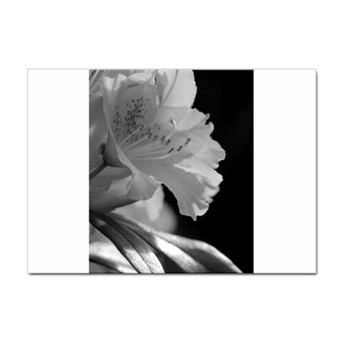 Classic beauty Sticker A4 (10 pack) from ArtsNow.com Front