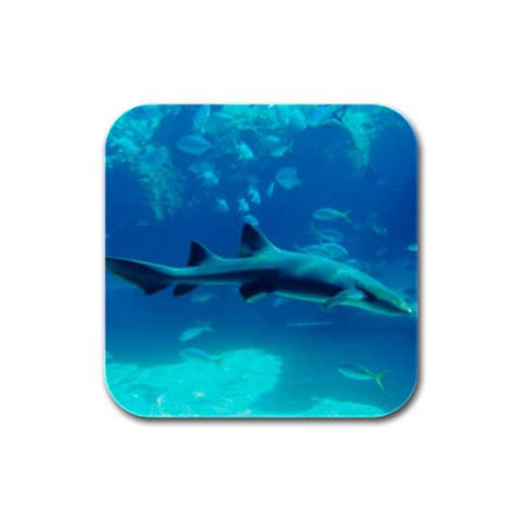 Nurse Shark Fish Rubber Square Coaster (4 pack) from ArtsNow.com Front