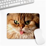 cat mischief 960 808 Small Mousepad