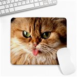cat mischief 960 808 Large Mousepad
