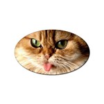 cat mischief 960 808 Sticker (Oval)