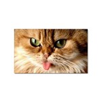 cat mischief 960 808 Sticker (Rectangular)