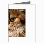 cat mischief 960 808 Greeting Card