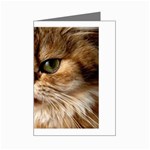 cat mischief 960 808 Mini Greeting Card