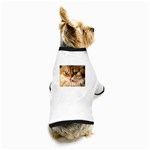 cat mischief 960 808 Dog T-Shirt