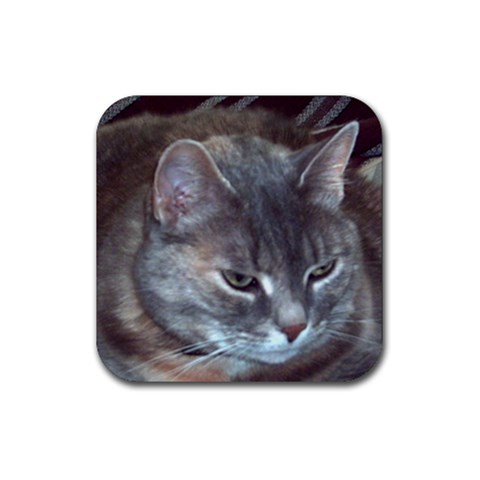 Cat Looking Away Rubber Coaster (Square) from ArtsNow.com Front