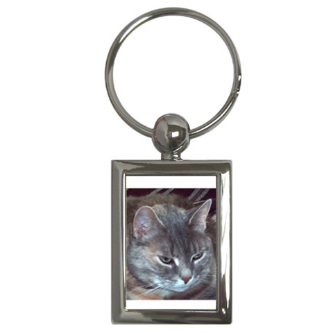 Cat Looking Away Key Chain (Rectangle) from ArtsNow.com Front