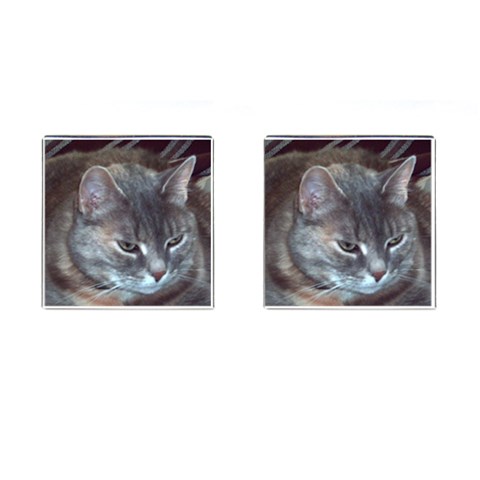 Cat Looking Away Cufflinks (Square) from ArtsNow.com Front(Pair)