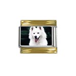 dog38 Gold Trim Italian Charm (9mm)