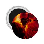 SD062 2.25  Magnet