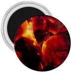 SD062 3  Magnet
