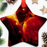 SD062 Ornament (Star)