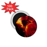 SD062 1.75  Magnet (100 pack) 