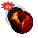 SD062 2.25  Magnet (10 pack)