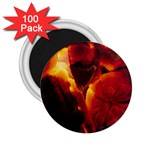 SD062 2.25  Magnet (100 pack) 