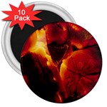 SD062 3  Magnet (10 pack)