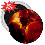SD062 3  Magnet (100 pack)