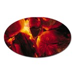 SD062 Magnet (Oval)