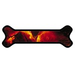 SD062 Magnet (Dog Bone)
