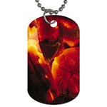SD062 Dog Tag (One Side)