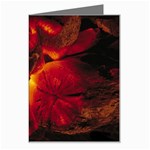 SD062 Greeting Card